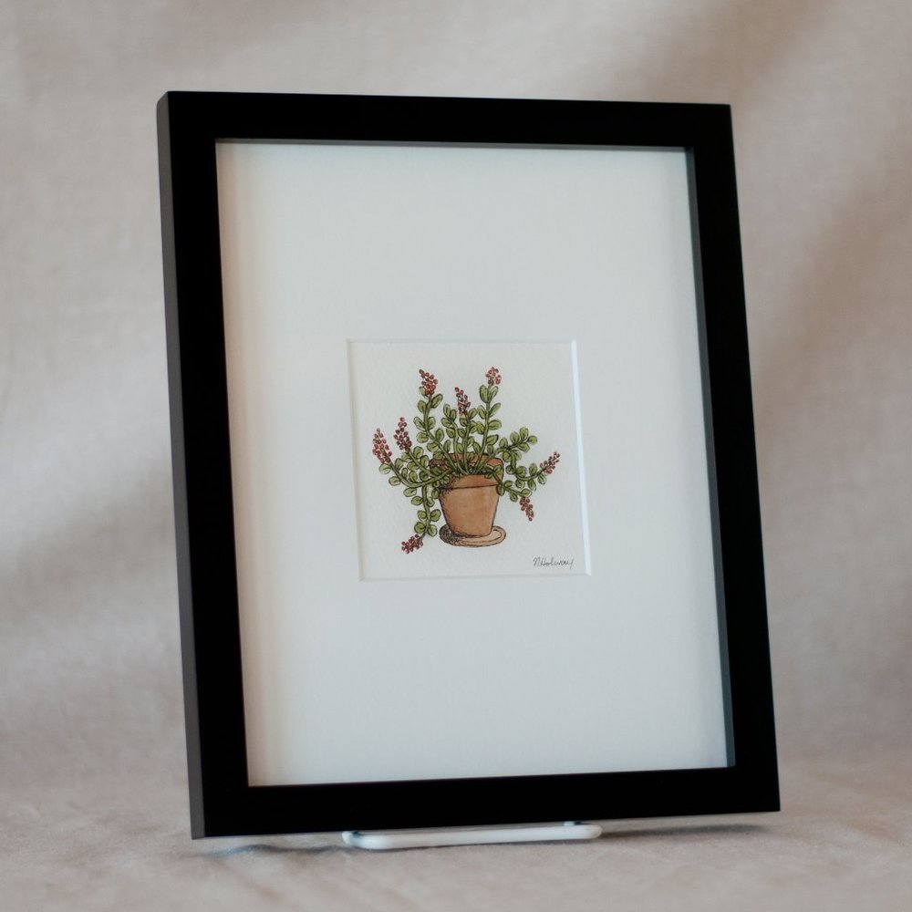 "Kolanchoe" Plant Watercolour Original Artwork